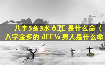 八字5金3水 🦍 是什么命（八字金多的 🐼 男人是什么命）